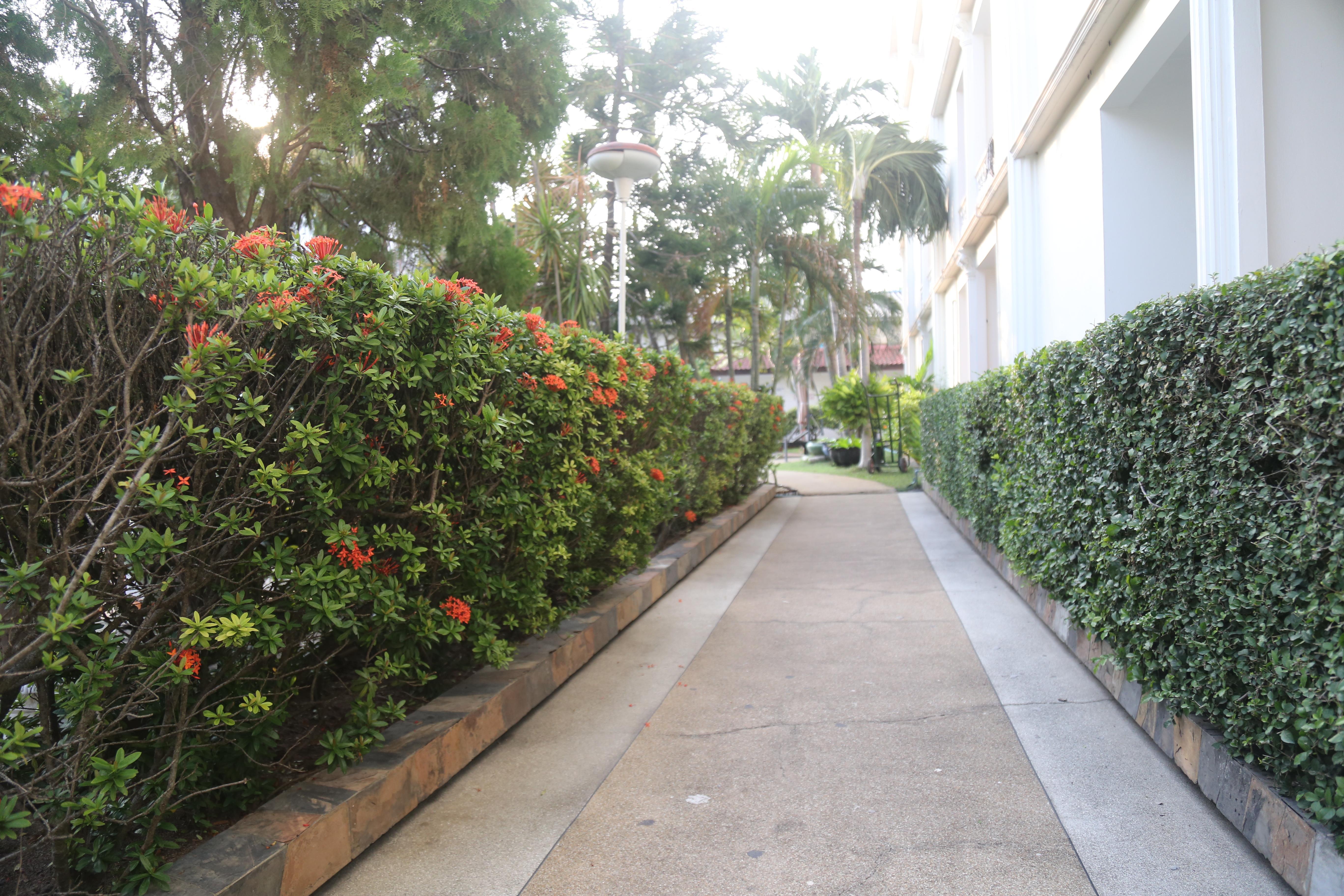 Hotel Romeo Palace Pattaya Exterior photo